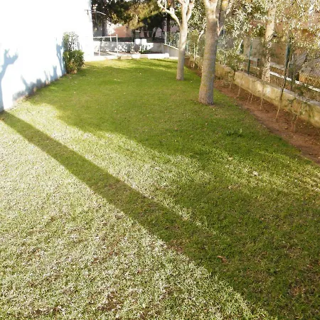 Maralvor * ألفور